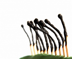 so da, sổ da, cong ty in, c&ocirc;ng ty in, so da cao cap, so bia da, c&ocirc;ng ty in an, sổ da cao cấp, sổ b&igrave;a da, c&ocirc;ng ty in ấn